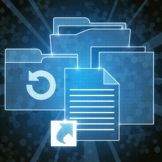 A Step-by-Step Backup and Disaster Recovery Solutions Guide