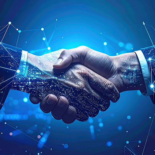 Broadcom Partner Selection Criteria: Matching Your Business Needs with Provider Capabilities